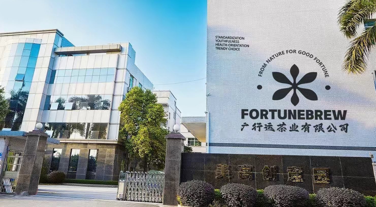 图片展示